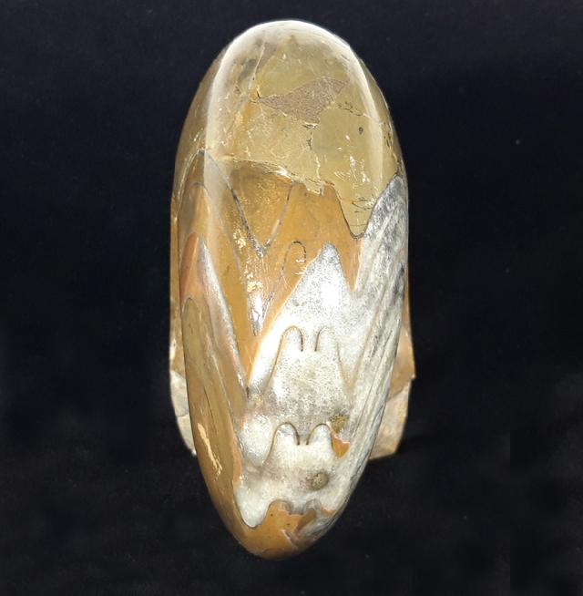 Manticoceras cf. intumescens (BEYRICH 1837) - Bild &copy; FossNet FossilienStore